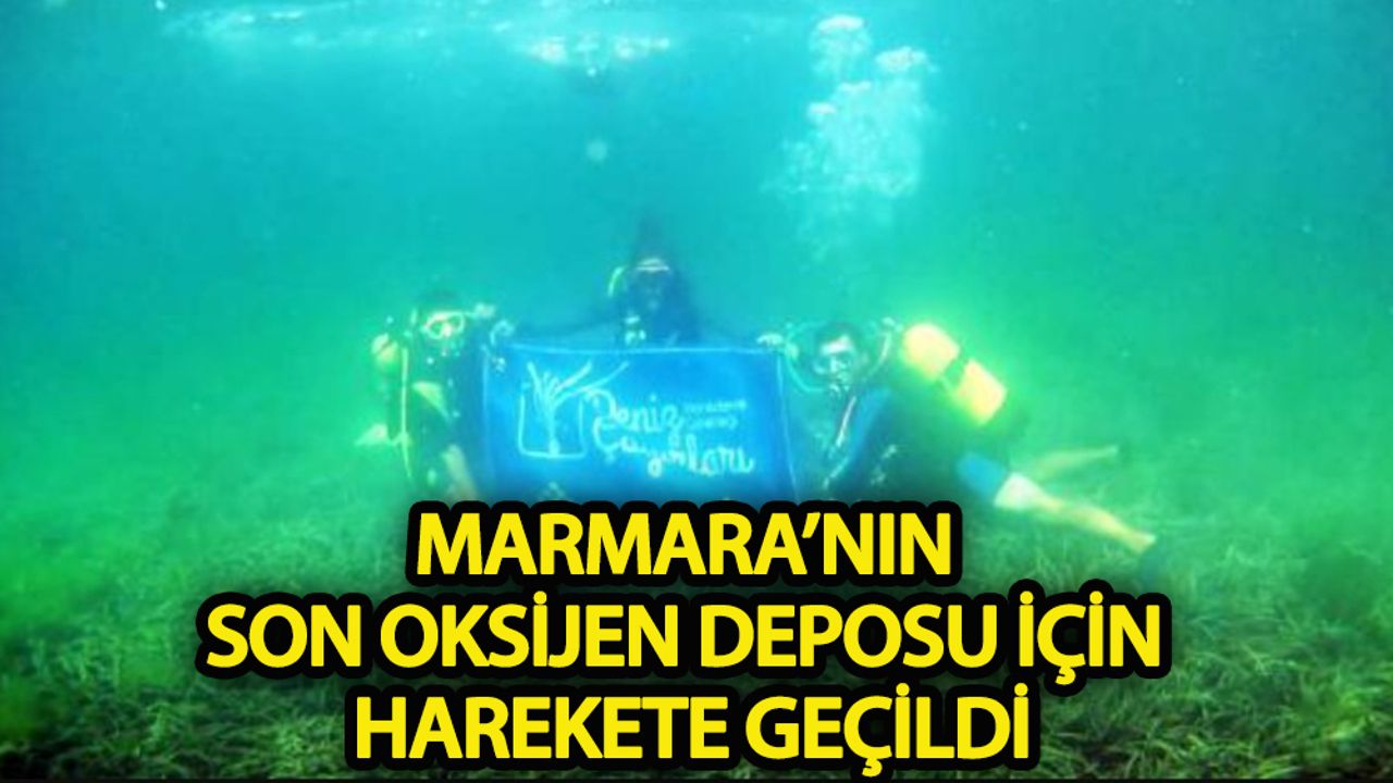 Marmara’nın son oksijen deposu için harekete geçildi