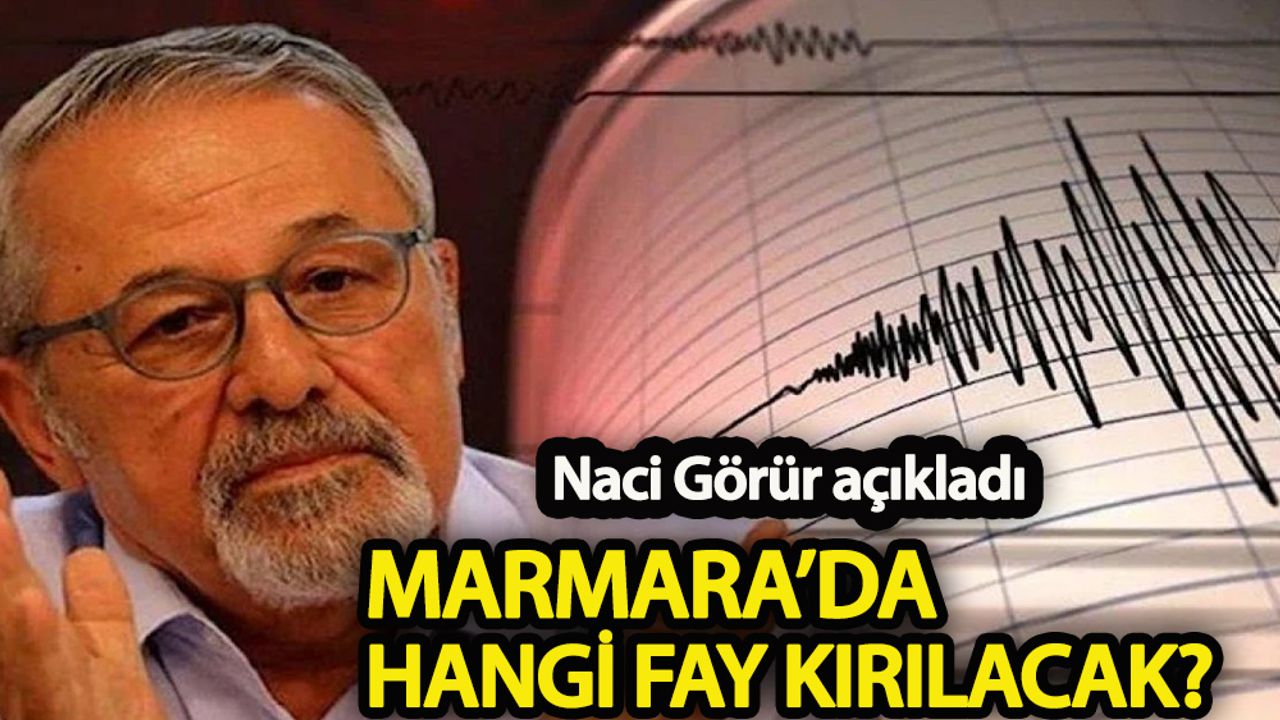 Naci Görür açıkladı  Marmara’da hangi fay kırılacak?