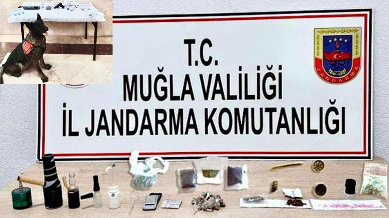  Muğla'da  uyuşturucu operasyonu: 14 gözaltı