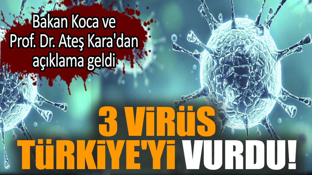 3 virüs Türkiye'yi vurdu! Bakan Koca'dan açıklama geldi