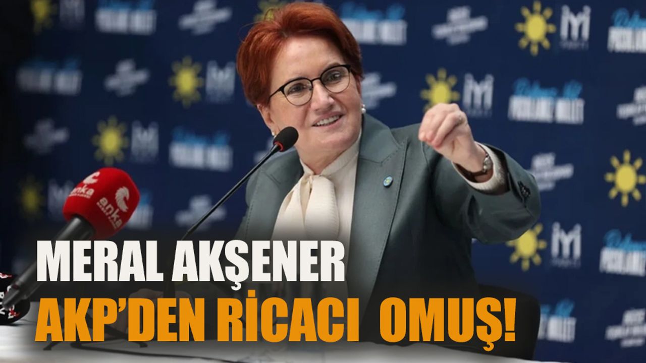 Meral Akşener AKP'den ricacı olmuş!