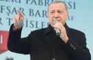 Erdoğan, barınaktaki vahşete Konya'dan tepki gösterdi