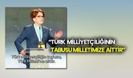 Akşener: “Türk Milliyetçiliğinin tabusu milletimize aittir”