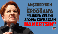 Akşener’den   Erdoğan’a “Elinden Geleni  Ardına Koymazsan Namertsin”