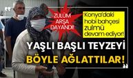 Konya’daki hobi bahçesi zulmü devam ediyor! Zulüm arşa dayandı! Yaşlı başlı teyzeyi böyle ağlattılar!