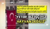 AKP'li belediyede çalışan işçi intihar girişiminde bulunurken başkana isyan etti:  "Yeter! Biz işçiyiz, hayvan değiliz"
