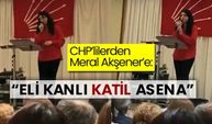 CHP’lilerden Meral Akşener’e: “Eli kanlı katil Asena”