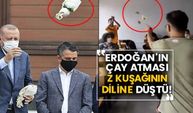 Erdoğan'ın çay atması Z kuşağının diline böyle düştü!