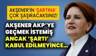 Meral Akşener’in ‘şartına’ çok şaşıracaksınız! Meral Akşener AKP’ye geçmek istemiş ancak ‘şartı’ kabul edilmeyince…