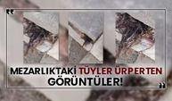 Mezarlıktaki tüyler ürperten görüntüler!