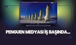 Penguen medyası iş başında