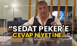 “Sedat Peker'e cevap niyetine…”