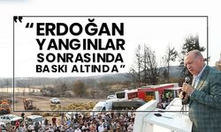 “Erdoğan yangınlar sonrasında baskı altında”