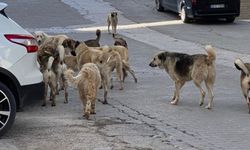 Türkiye günlerdir bunu konuşuyordu! Erişim engeli geldi