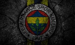 Fenerbahçe’de sakatlık şoku!