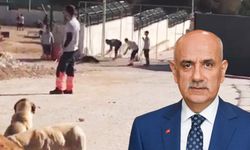 Bakan Kirişci'den Konya'daki köpek katliamıyla ilgili açıklama