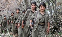 Teslim olan PKK'lı kızdan olay itiraflar!.. PKK'lıların sayısı çok azaldı,alanların çoğunu TSK ele geçirdi