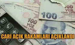 Türkiye'nin cari açığı alarm veriyor!