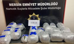 Mersin'de TIR'a narkotik baskını