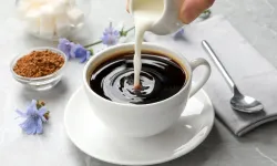 Hindiba Kahvesi'nin faydaları nelerdir? Zayıflatır mı?