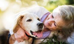 Uzmanlar anlattı: Evcil hayvanlar yaşlanmayı geciktiriyor!