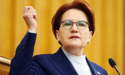 Meral Akşener Danıştay'a sordu: Kadınlara 'sürtük' demek hukuka uygun muymuş?