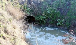 Kanalizasyon suları Tunca Nehri'ni tehdit ediyor