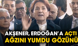 Akşener, Erdoğan’a açtı ağzını yumdu gözünü