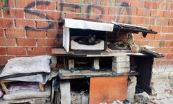 Manisa'da vahşet: İnsanlığını kaybetmiş bir cani kedi klübelerini ateşe verdi