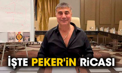 İşte Sedat Peker'in ricası