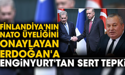 Finlandiya'nın NATO üyeliğini onaylayan Erdoğan'a Cemal Enginyurt'tan sert tepki