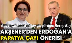 Akşener'den Erdoğan'a papatya çayı önerisi: Giderayak seni çok gergin gördüm Recep Bey