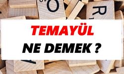 Temayül yoklaması ne demek?