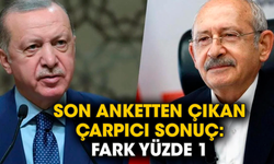 Son anketten çıkan çarpıcı sonuç: Fark yüzde 1