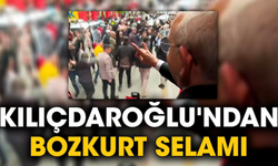 Kılıçdaroğlu'ndan Bozkurt selamı