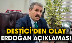 Destici'den olay Erdoğan açıklaması