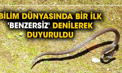 Bilim dünyasında bir ilk... 'Benzersiz' denilerek duyuruldu