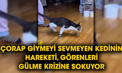 Çorap giymeyi sevmeyen kedinin hareketi, görenleri gülme krizine sokuyor