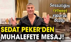 Sedat Peker'den muhalefete mesaj