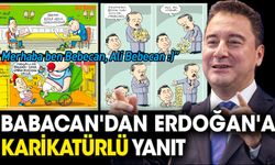 Babacan'dan Erdoğan'a karikatürlü yanıt