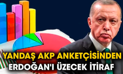 Yandaş AKP anketçisinden Erdoğan'ı üzecek itiraf