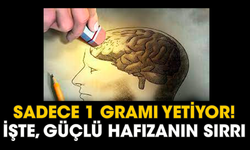 Sadece 1 gramı yetiyor! İşte, güçlü hafızanın sırrı