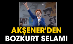 Akşener'den bozkurt selamı