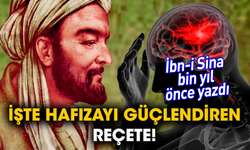 İşte hafızayı güçlendiren reçete! İbn-i Sina bin yıl önce yazdı