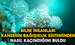 Bilim insanları, kanserin bağışıklık sisteminden nasıl kaçındığını buldu