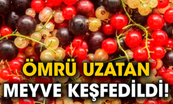 Ömrü uzatan meyve keşfedildi!