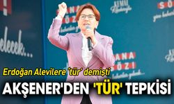 Akşener'den Erdoğan'a 'tür' tepkisi