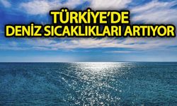 Türkiye’de deniz sıcaklıkları artıyor