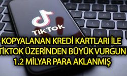 Kopyalanan kredi kartları ile TikTok üzerinden  büyük vurgun