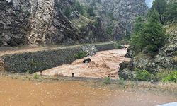 Doğu Karadeniz’in kaderi!